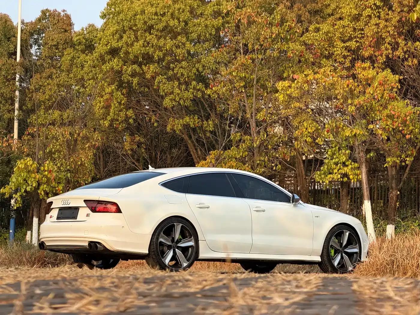 Audi S7 2013 4.0 TFSI quattro — миниатюра 12