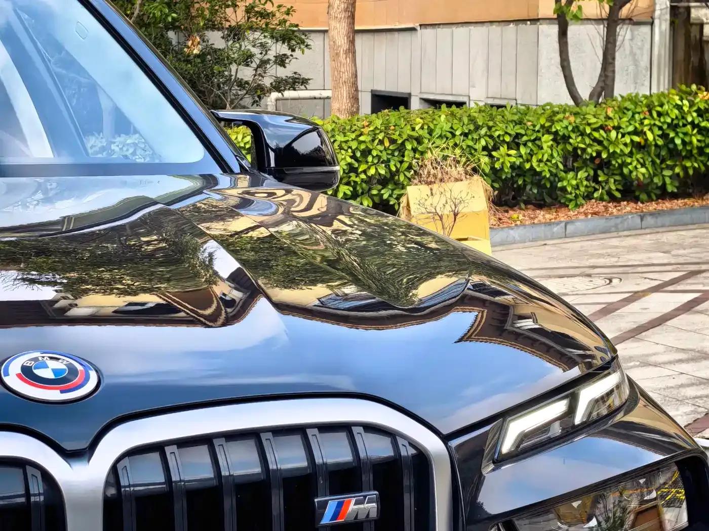 2023 BMW X7 M60i xDrive M60i — миниатюра 13