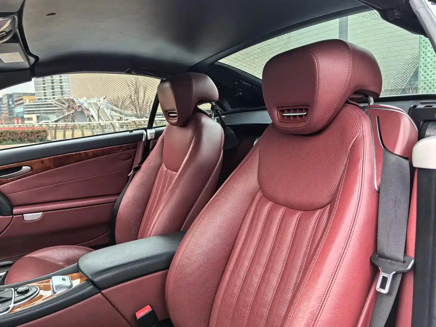 Mercedes-Benz SL-Class 2010 SL 300 — миниатюра 12