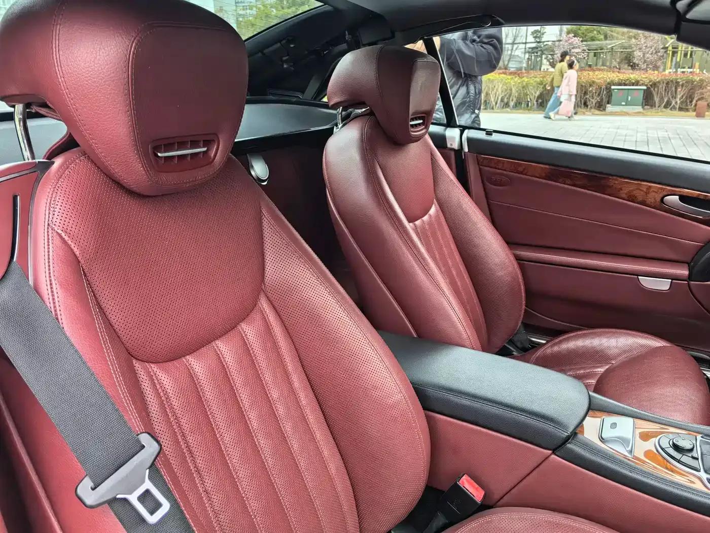 Mercedes-Benz SL-Class 2010 SL 300 — миниатюра 16