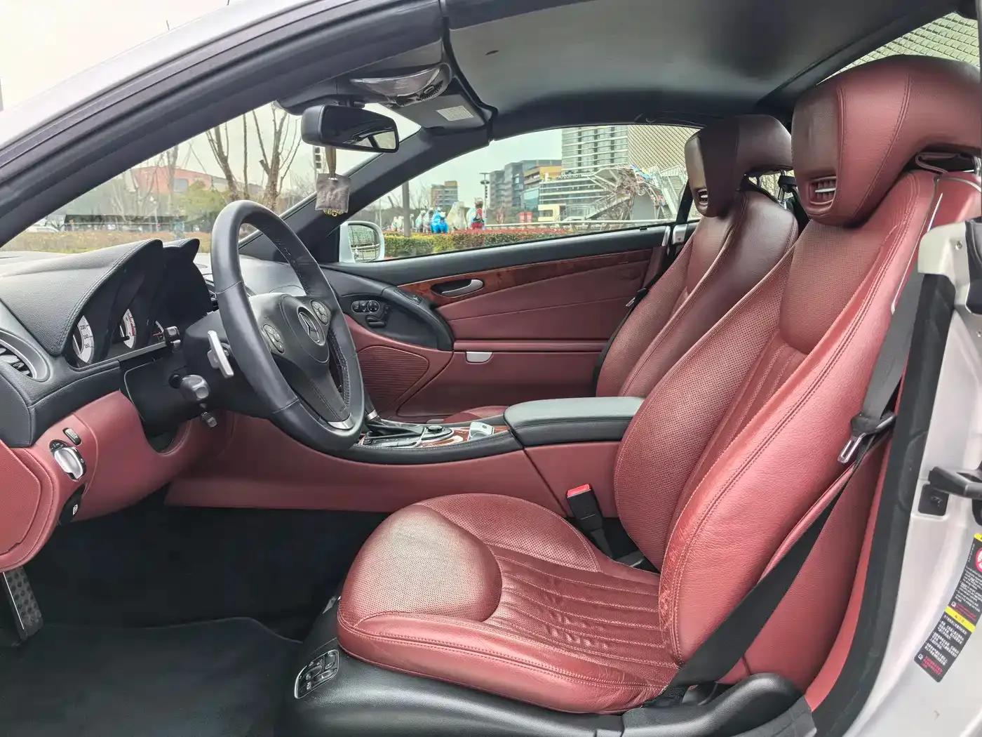 Mercedes-Benz SL-Class 2010 SL 300 — миниатюра 8
