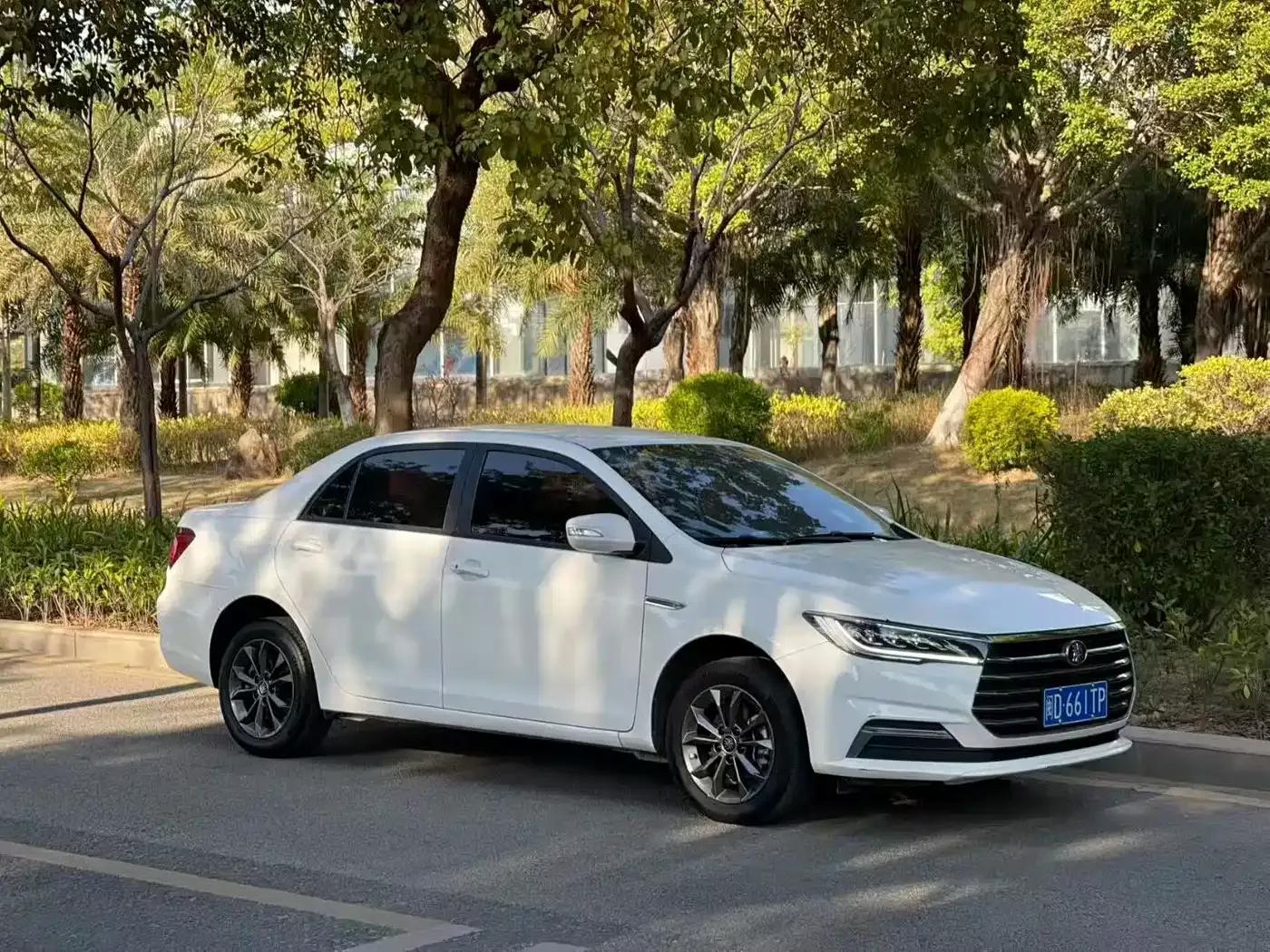Qin 2019 1.5L Automatic Deluxe Edition — миниатюра 3