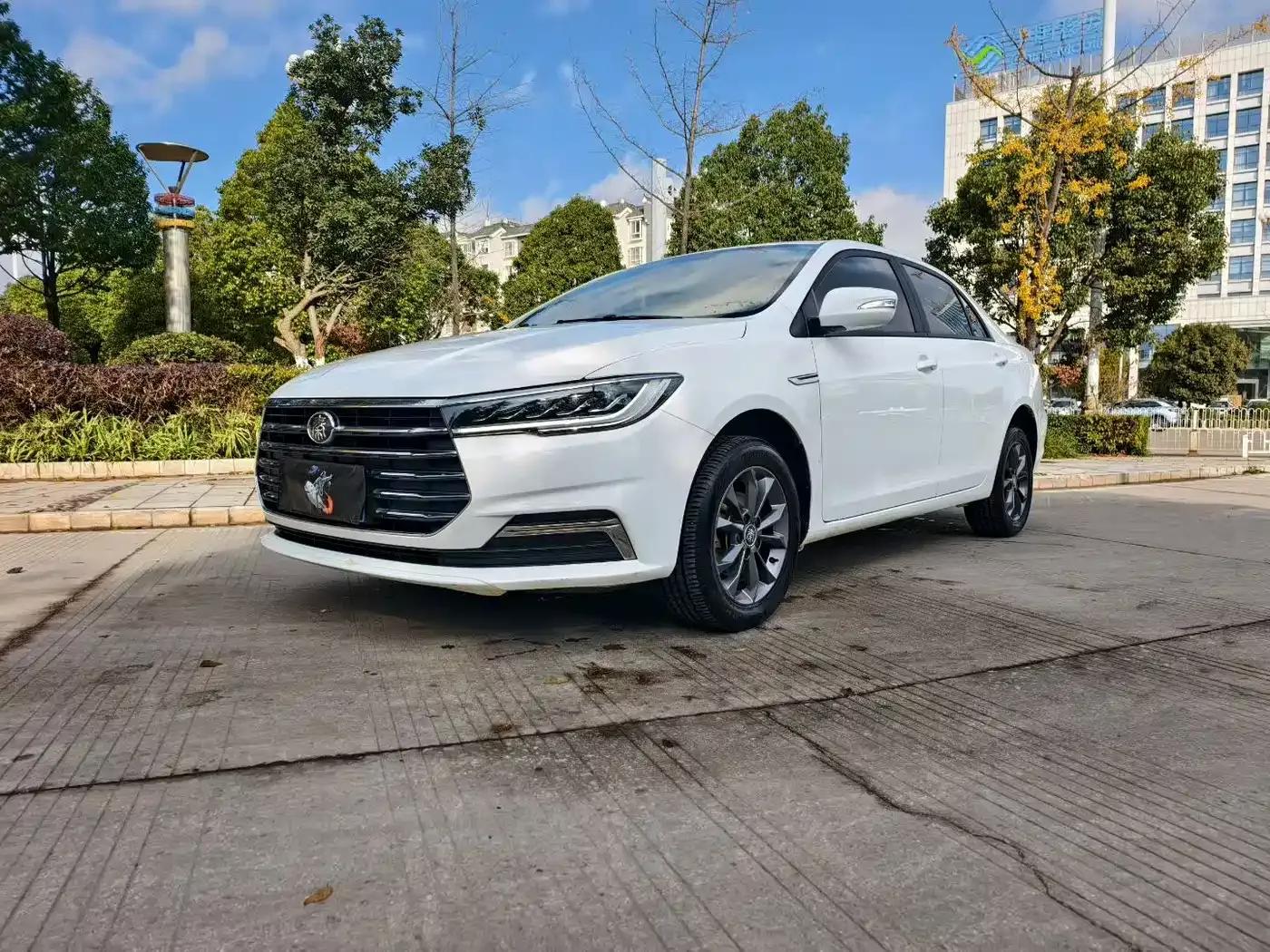 Qin 2019 1.5L Manual Deluxe Edition — миниатюра 1