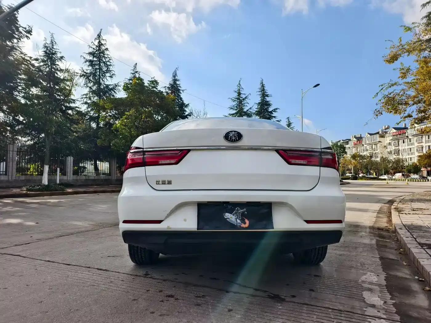 Qin 2019 1.5L Manual Deluxe Edition — миниатюра 5