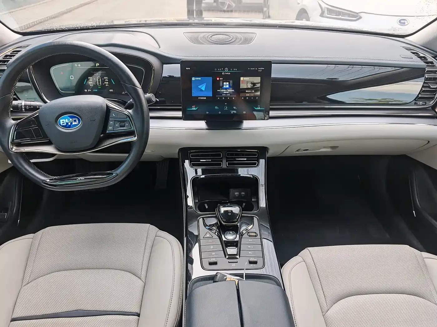 BYD e9 2021 Business Edition — миниатюра 6