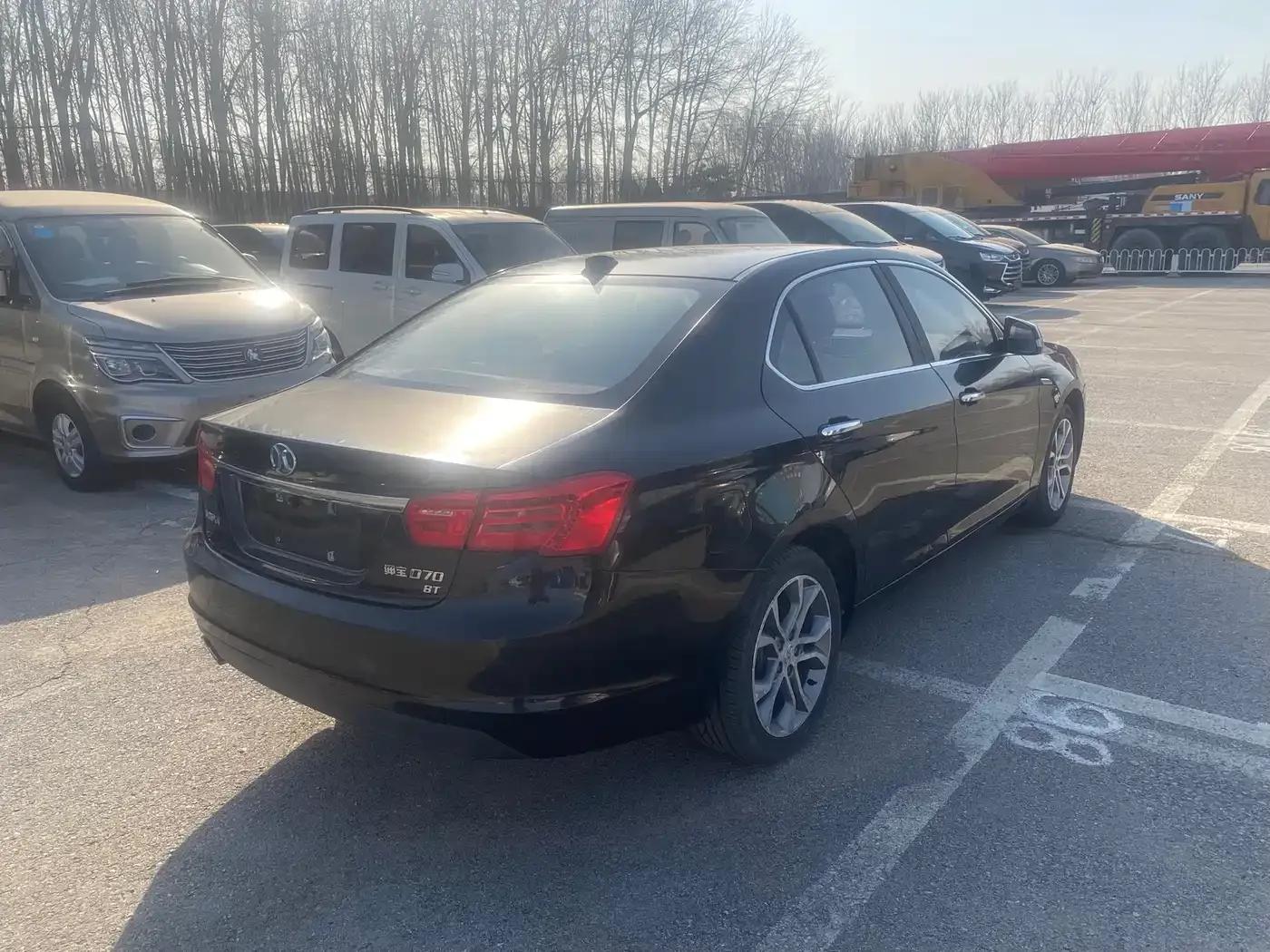 Senova D70 2018 Performance Edition 1.8T Premium Edition — миниатюра 3