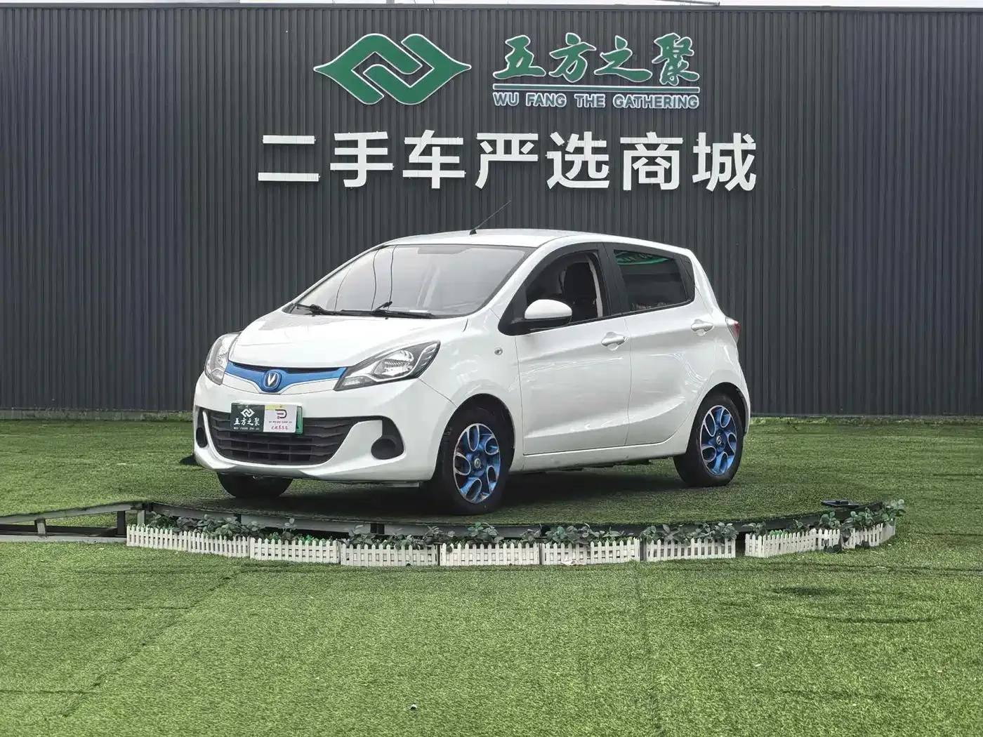 Benben EV 2019 EV360 Standard Edition — миниатюра 1