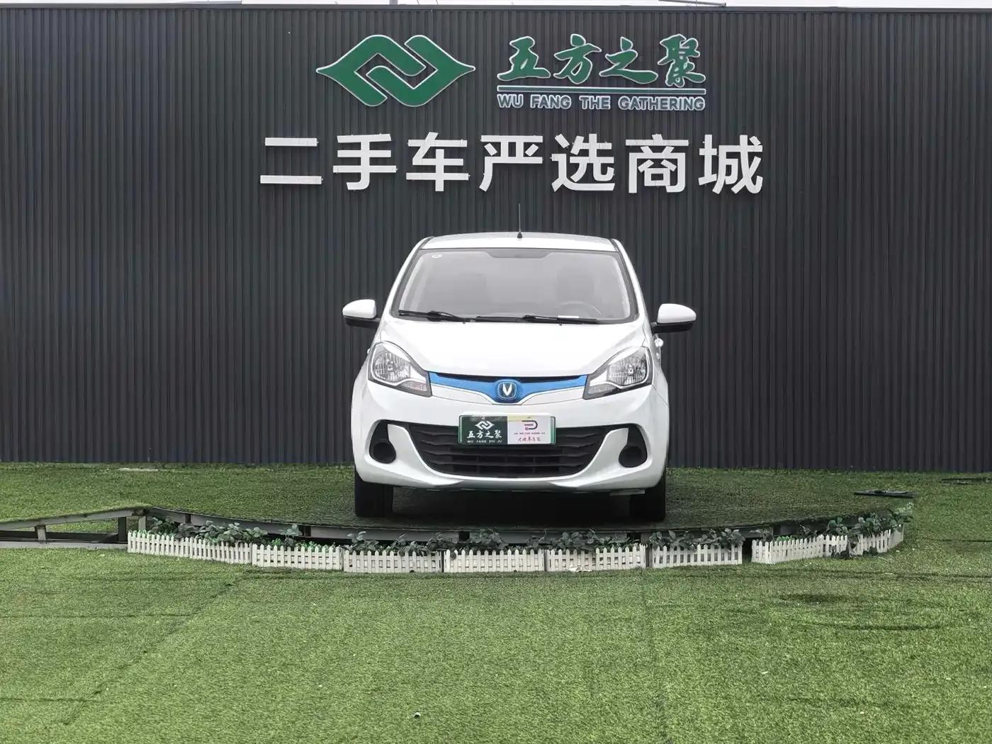 Benben EV 2019 EV360 Standard Edition — миниатюра 2