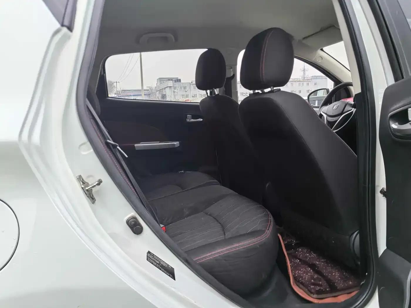Benben EV 2019 EV360 Standard Edition — миниатюра 13