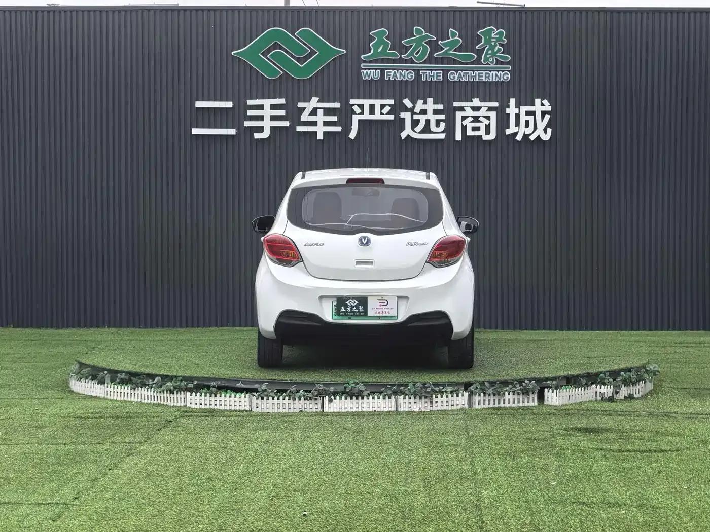 Benben EV 2019 EV360 Standard Edition — миниатюра 16