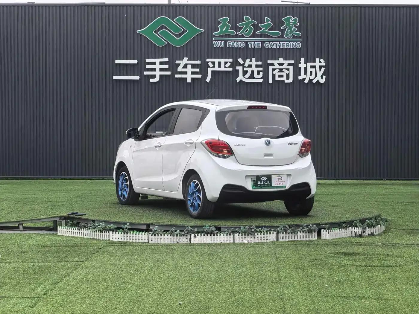 Benben EV 2019 EV360 Standard Edition — миниатюра 17