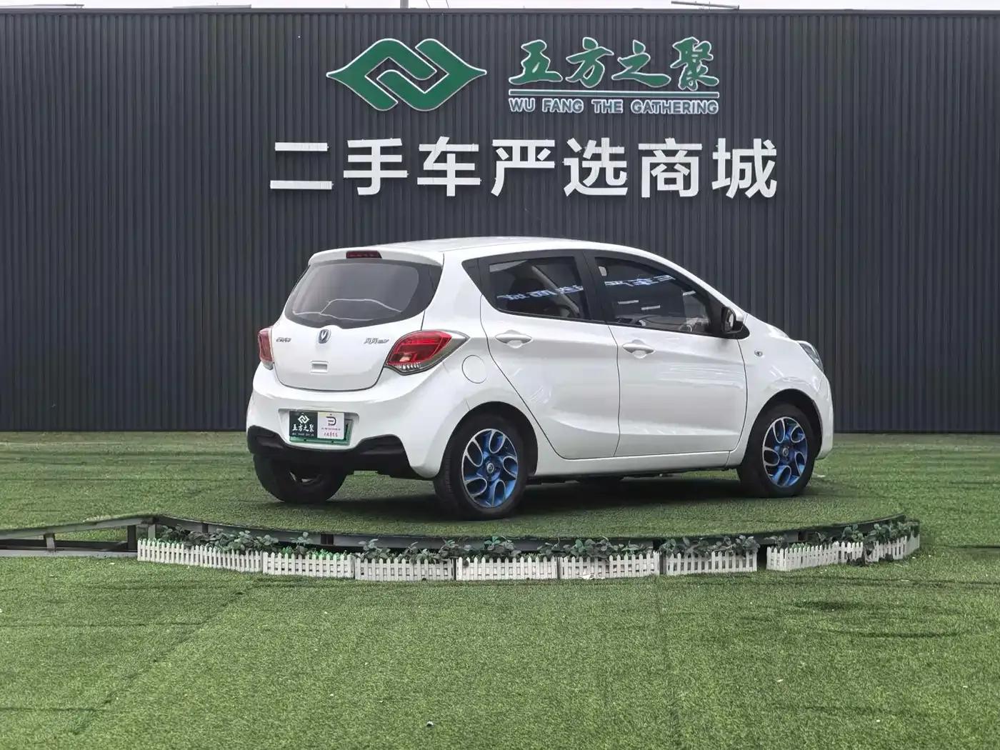 Benben EV 2019 EV360 Standard Edition — миниатюра 18
