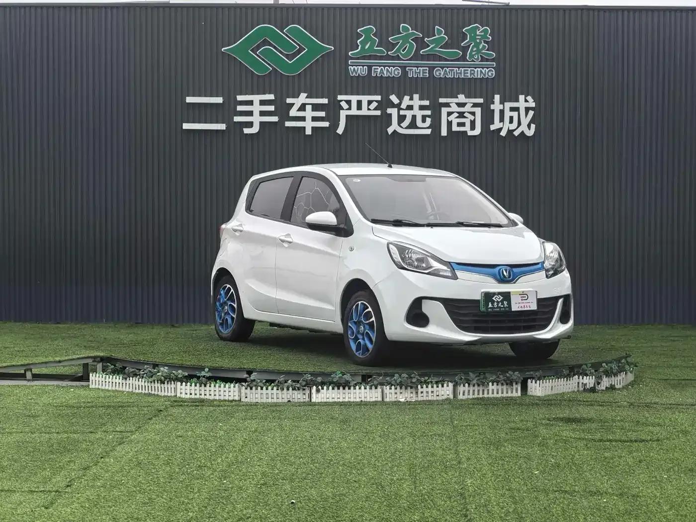 Benben EV 2019 EV360 Standard Edition — миниатюра 3