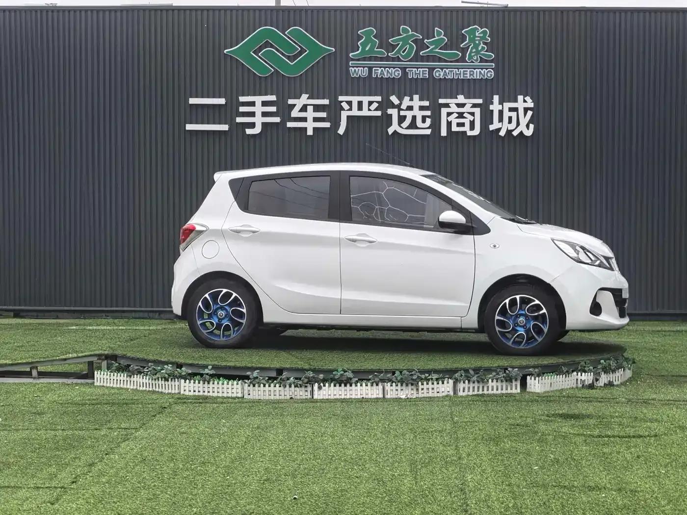 Benben EV 2019 EV360 Standard Edition — миниатюра 4