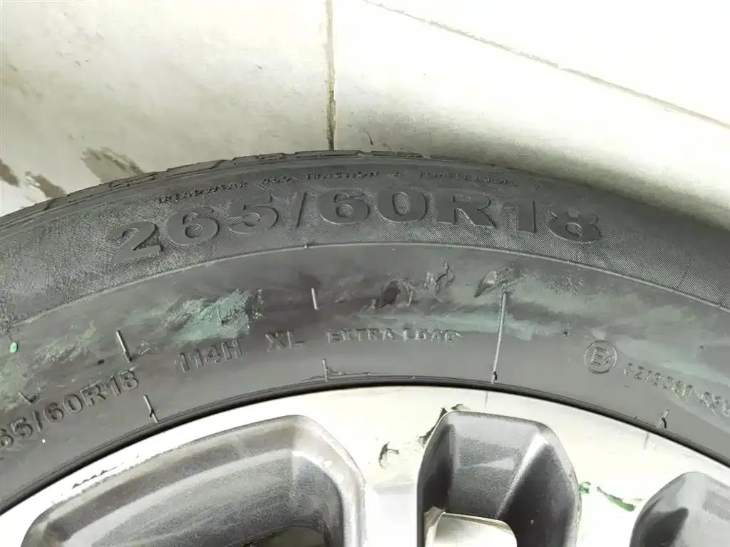 Shanhai Cannon 2023 2.4T Diesel Extreme Edition — миниатюра 24