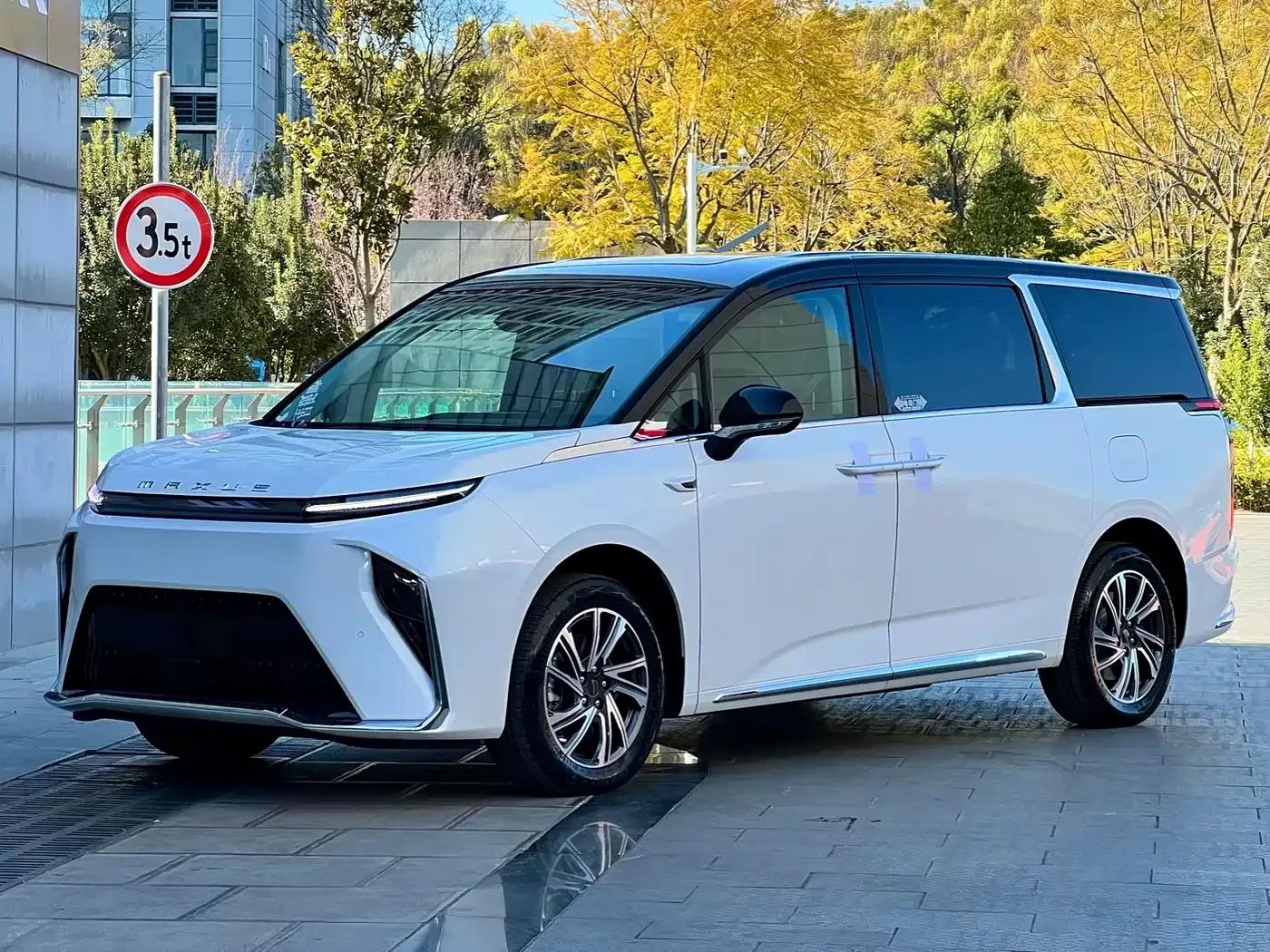 Everyone 9 2025 Super Hybrid Long Range Forest Edition 7-Seater — миниатюра 1