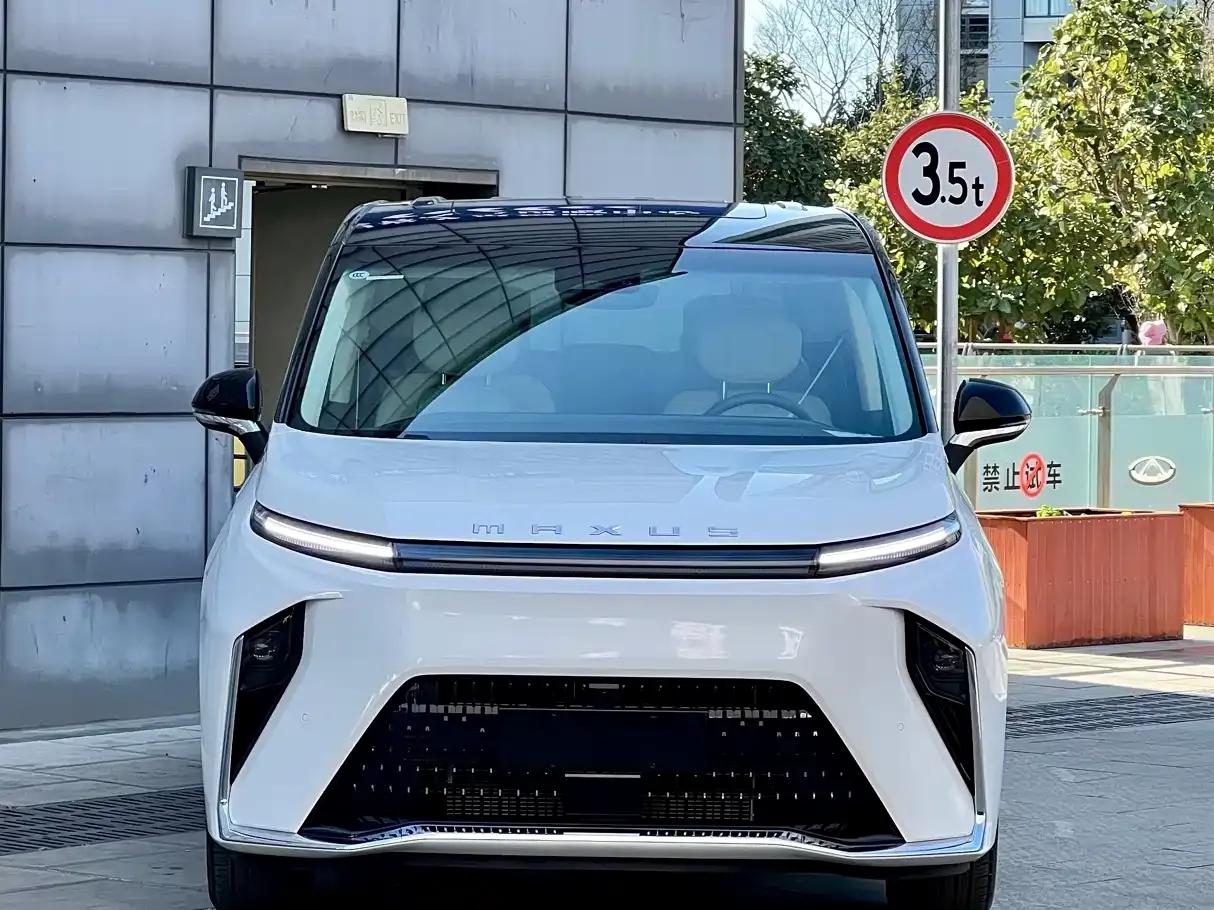 Everyone 9 2025 Super Hybrid Long Range Forest Edition 7-Seater — миниатюра 2