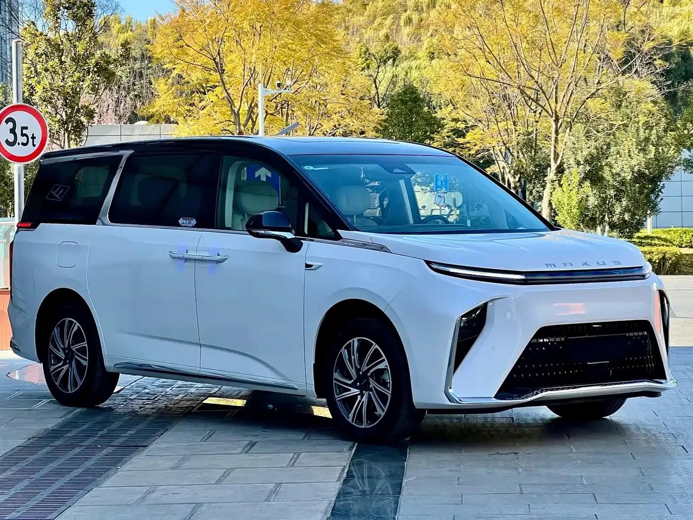 Everyone 9 2025 Super Hybrid Long Range Forest Edition 7-Seater — миниатюра 3