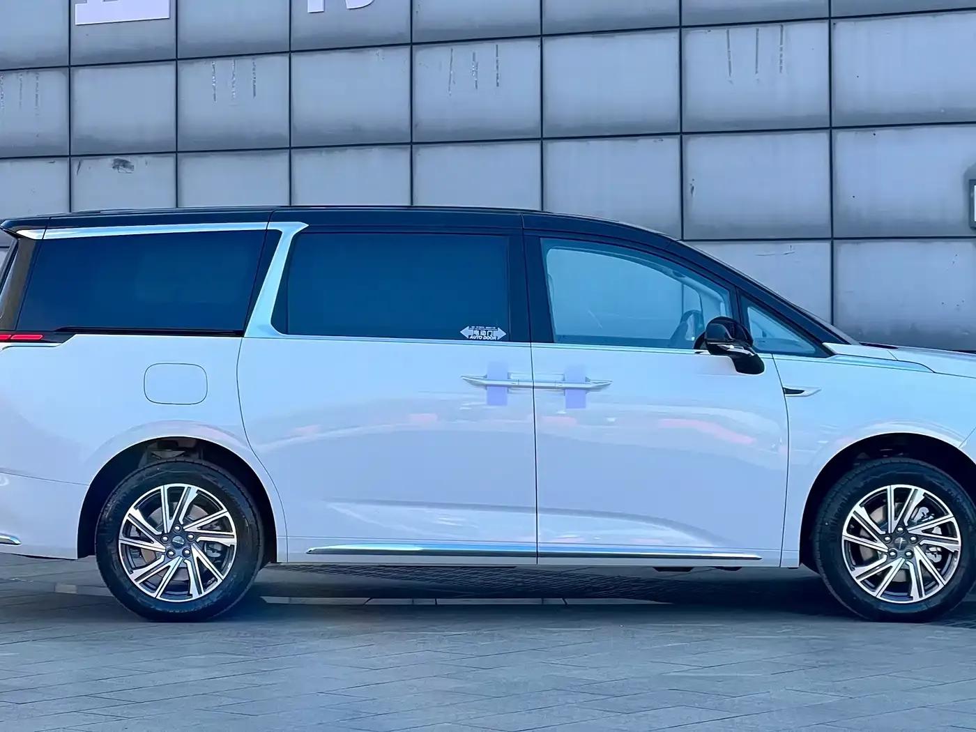 Everyone 9 2025 Super Hybrid Long Range Forest Edition 7-Seater — миниатюра 4