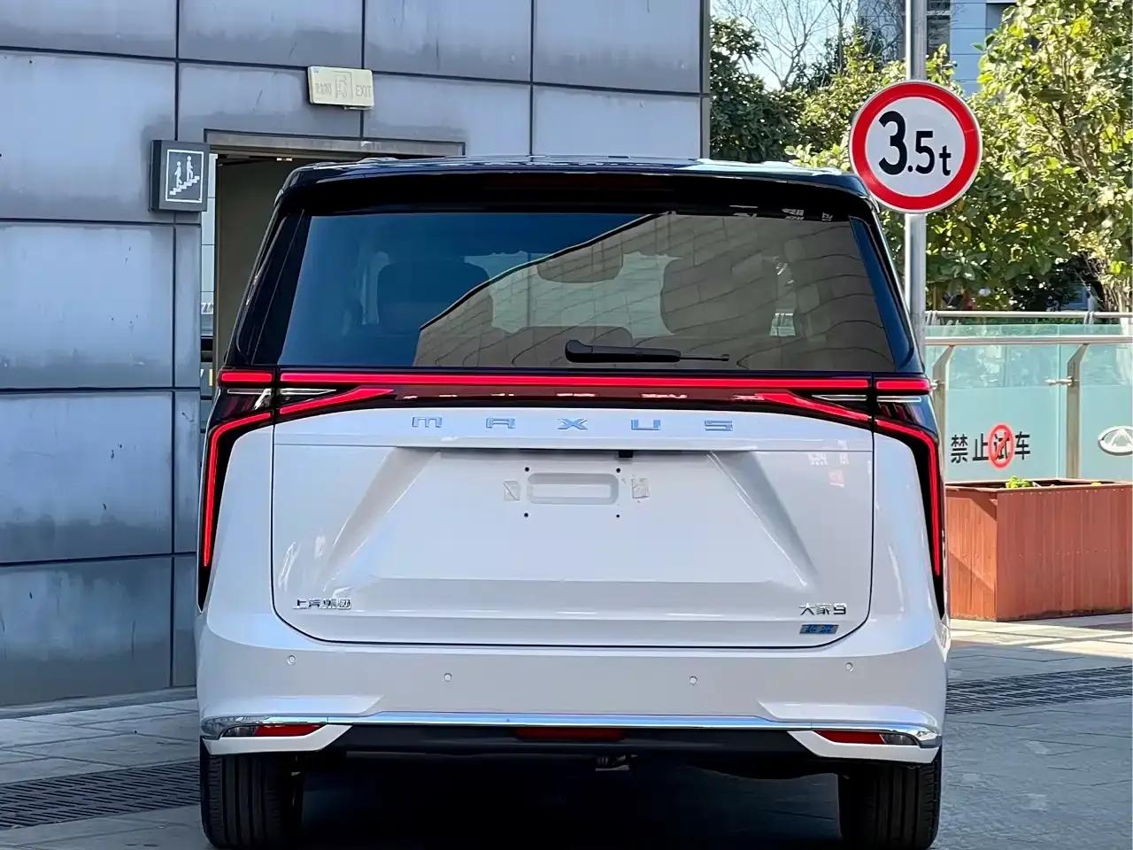 Everyone 9 2025 Super Hybrid Long Range Forest Edition 7-Seater — миниатюра 5