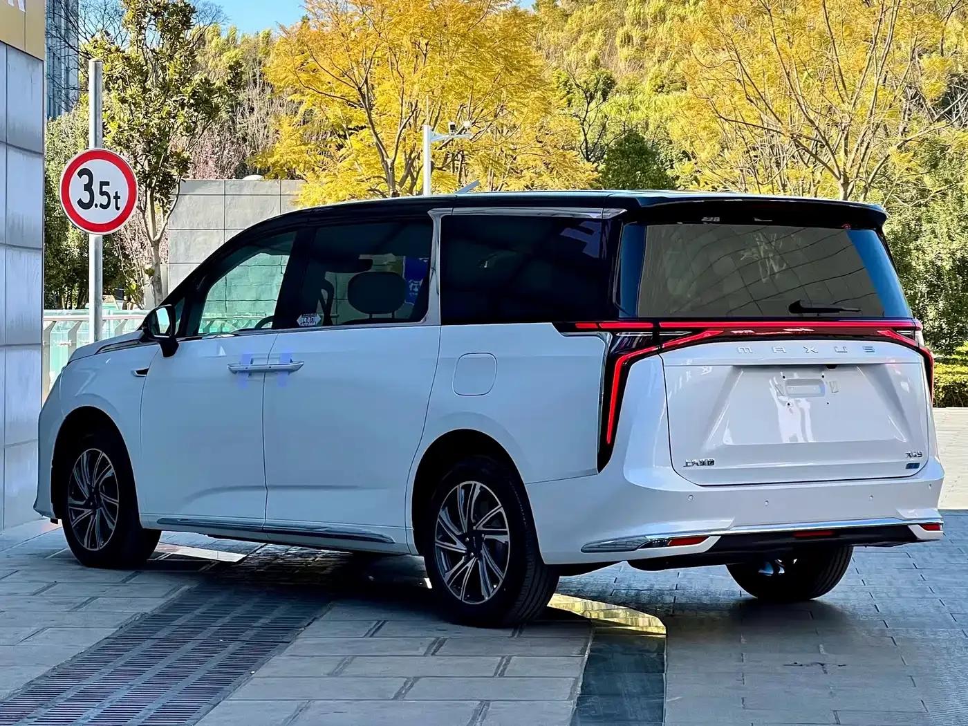 Everyone 9 2025 Super Hybrid Long Range Forest Edition 7-Seater — миниатюра 6