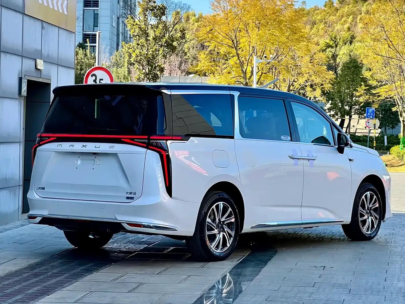 Everyone 9 2025 Super Hybrid Long Range Forest Edition 7-Seater — миниатюра 7