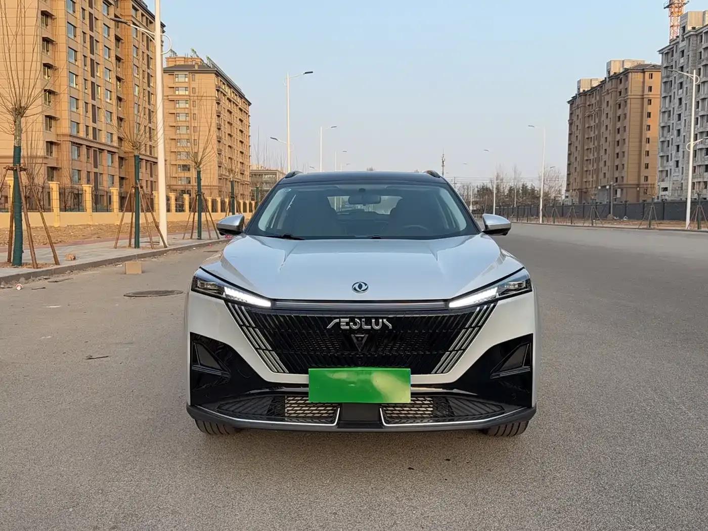 Haohan 2023 1.5T Luxury Edition — миниатюра 2