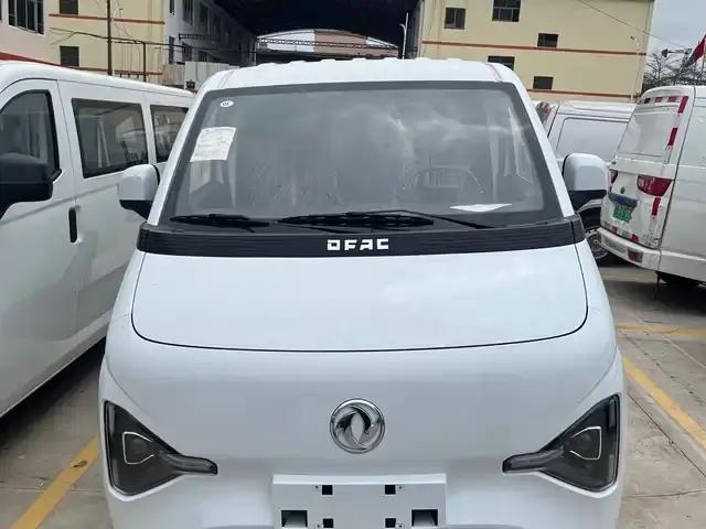 Ruilida V5 2025 Model 310km Standard Edition