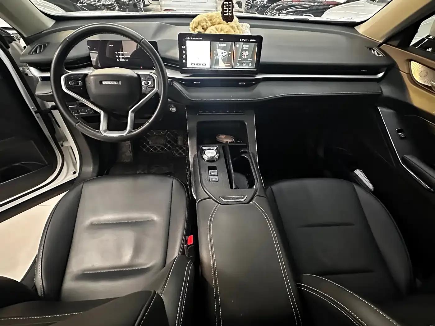 Haval H6 New Energy 2023 DHT-PHEV 55KM Joyful Edition — миниатюра 9