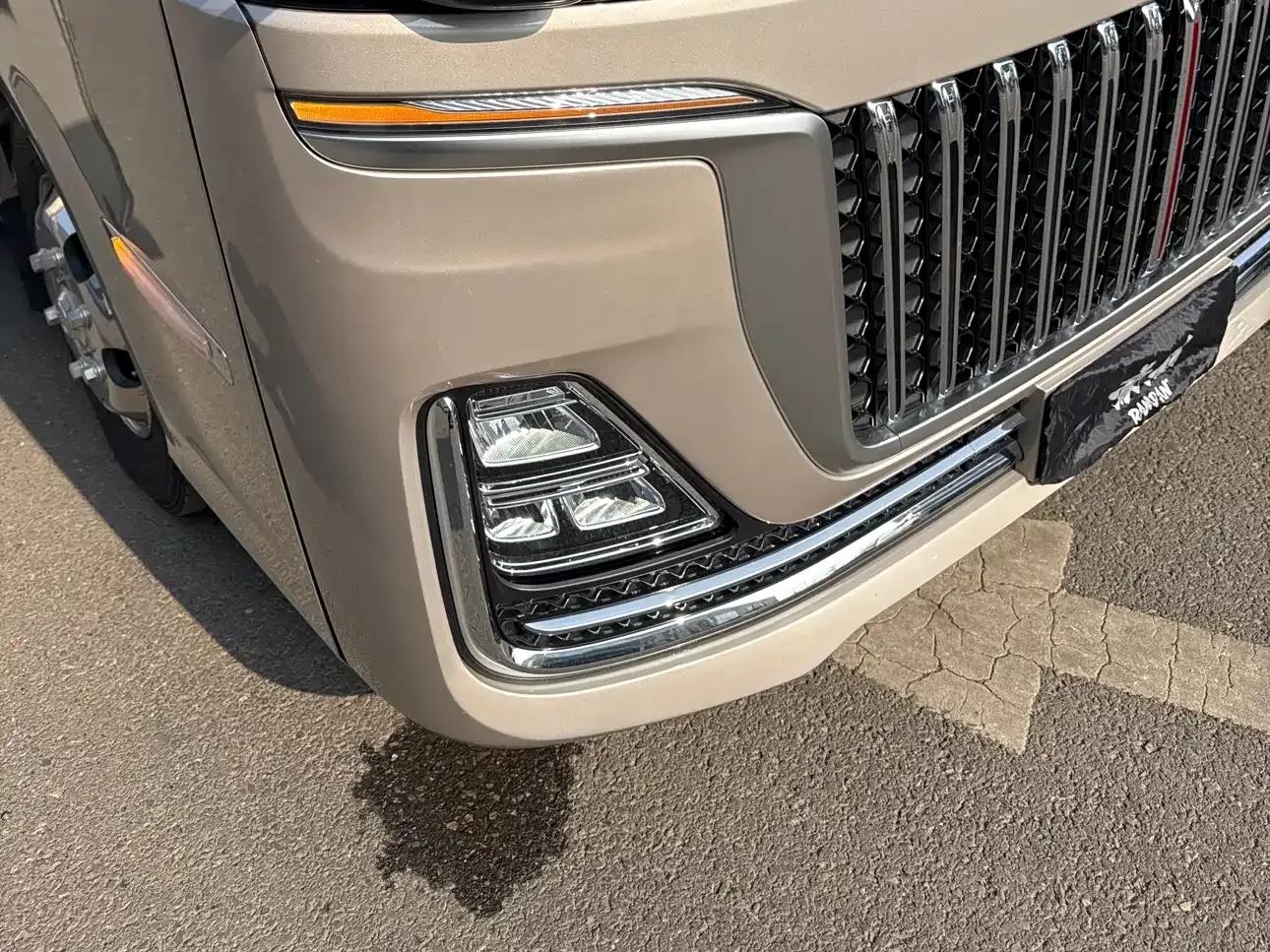 Hongqi Golden Sunflower Guoyue 2025 Model 3.0T Automatic — миниатюра 6