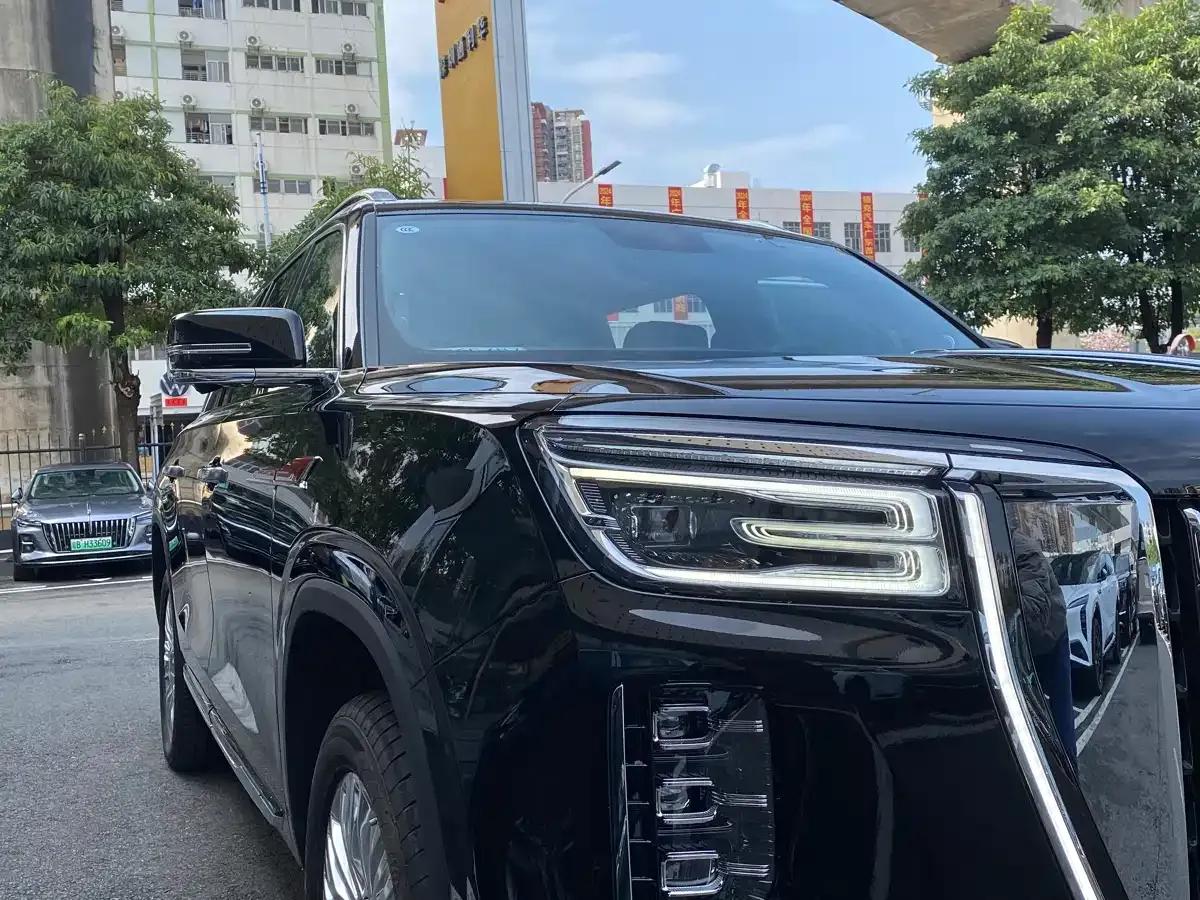Hongqi Golden Sunflower National Glory 2022 4.0T Premium Flagship Edition 4-seater — миниатюра 24