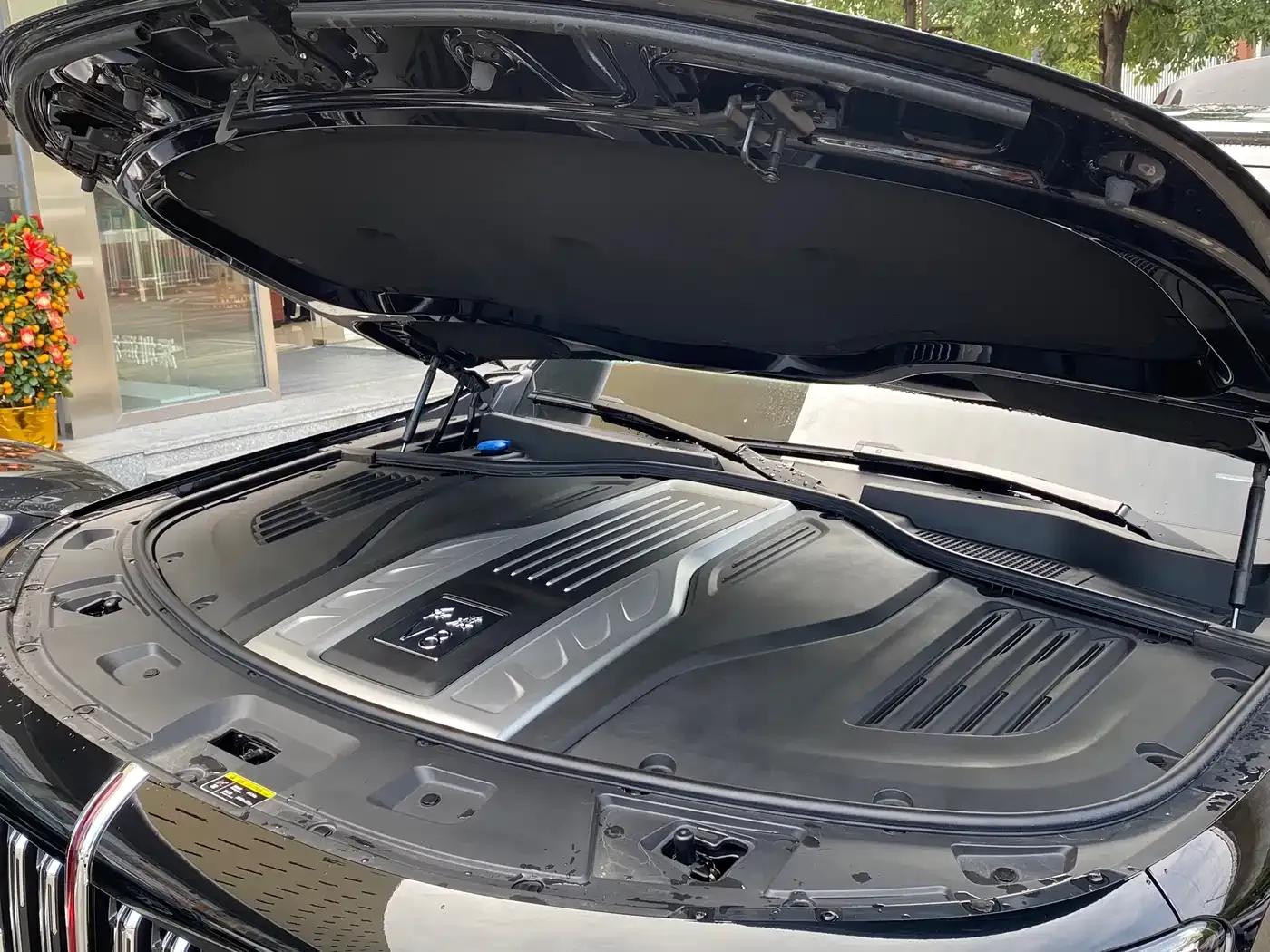 Hongqi Golden Sunflower National Glory 2022 4.0T Premium Flagship Edition 4-seater — миниатюра 25