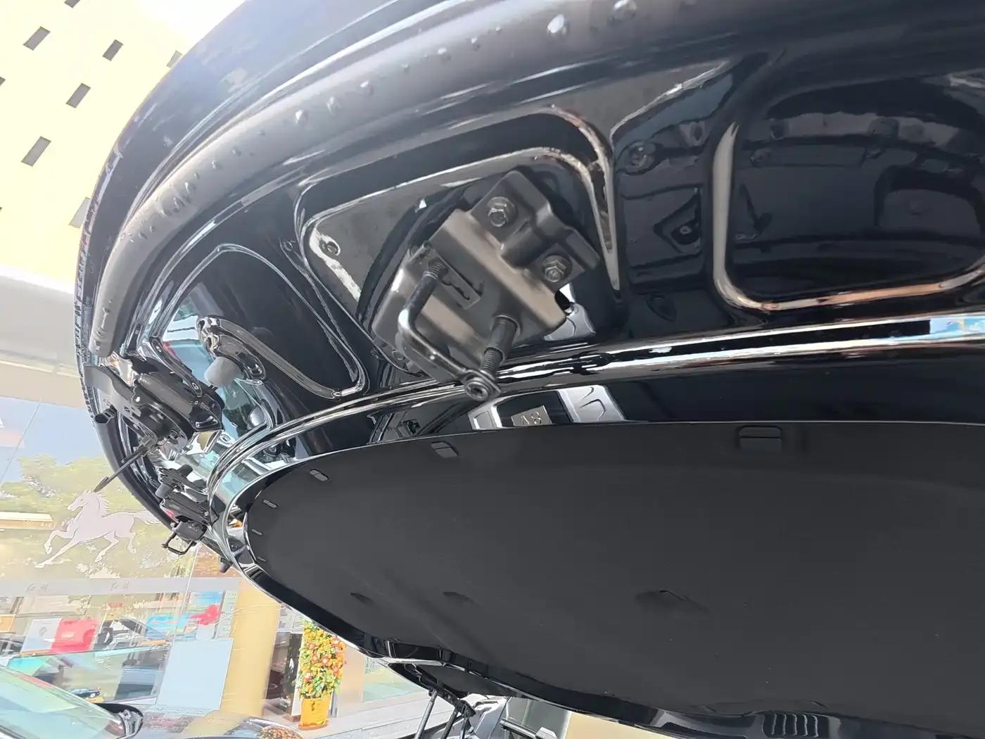 Hongqi Golden Sunflower National Glory 2022 4.0T Premium Flagship Edition 4-seater — миниатюра 32
