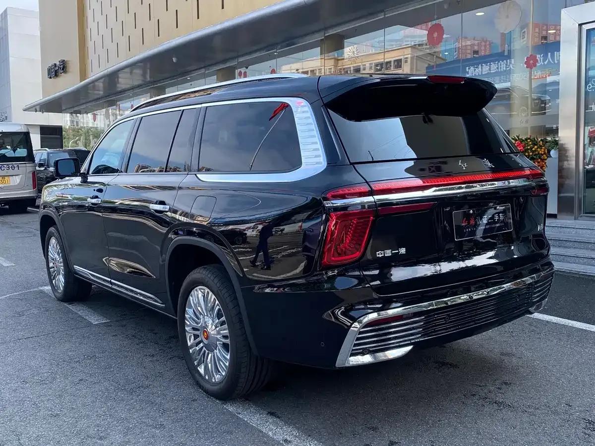 Hongqi Golden Sunflower National Glory 2022 4.0T Premium Flagship Edition 4-seater — миниатюра 6