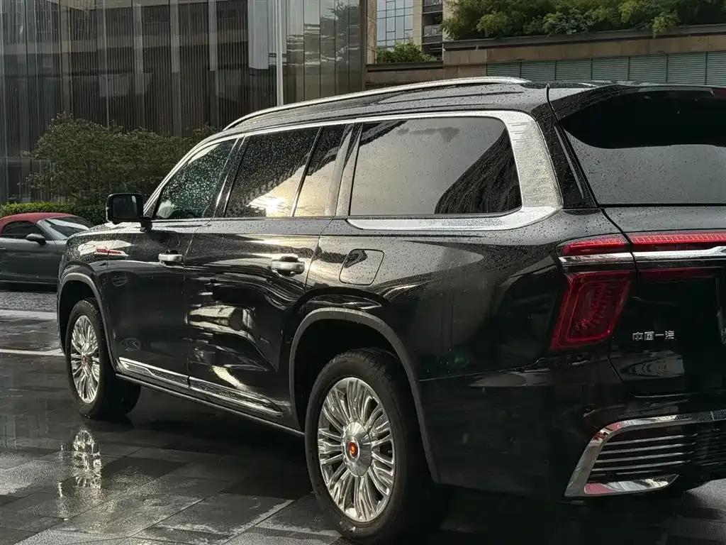 Hongqi Golden Sunflower National Glory 2022 4.0T Premium Flagship Edition 4-seater — миниатюра 3