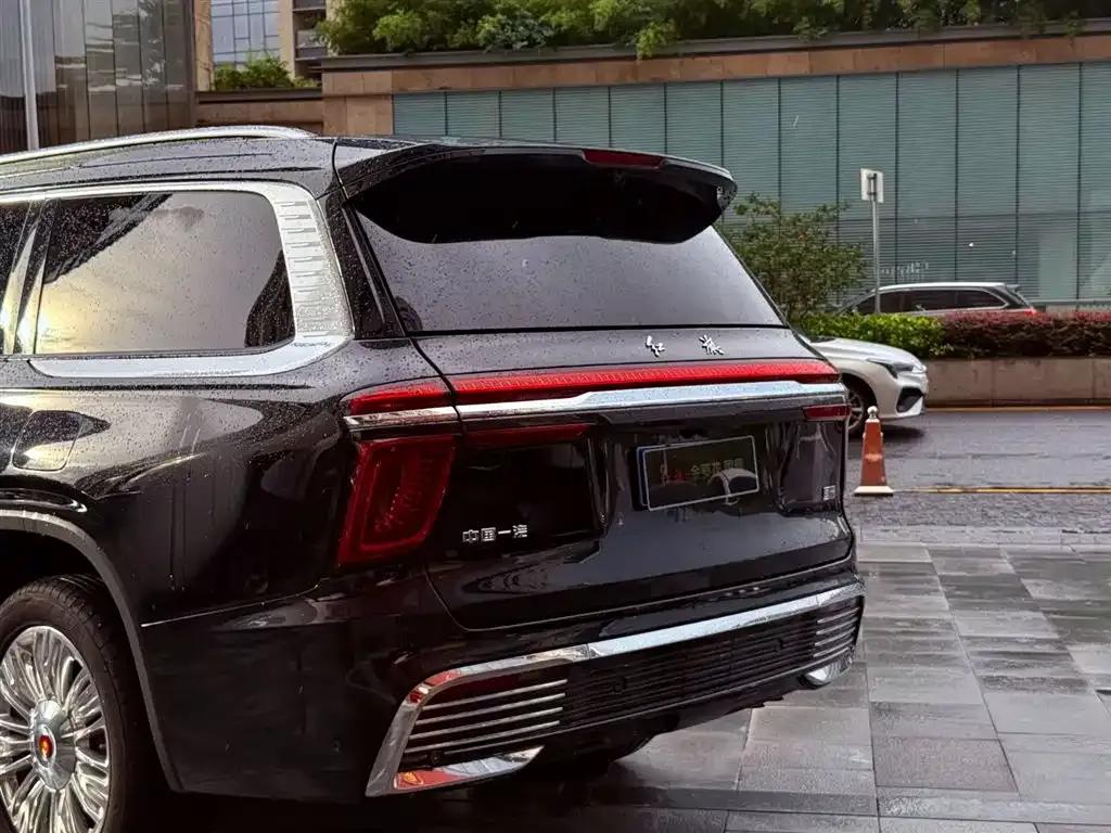 Hongqi Golden Sunflower National Glory 2022 4.0T Premium Flagship Edition 4-seater — миниатюра 4