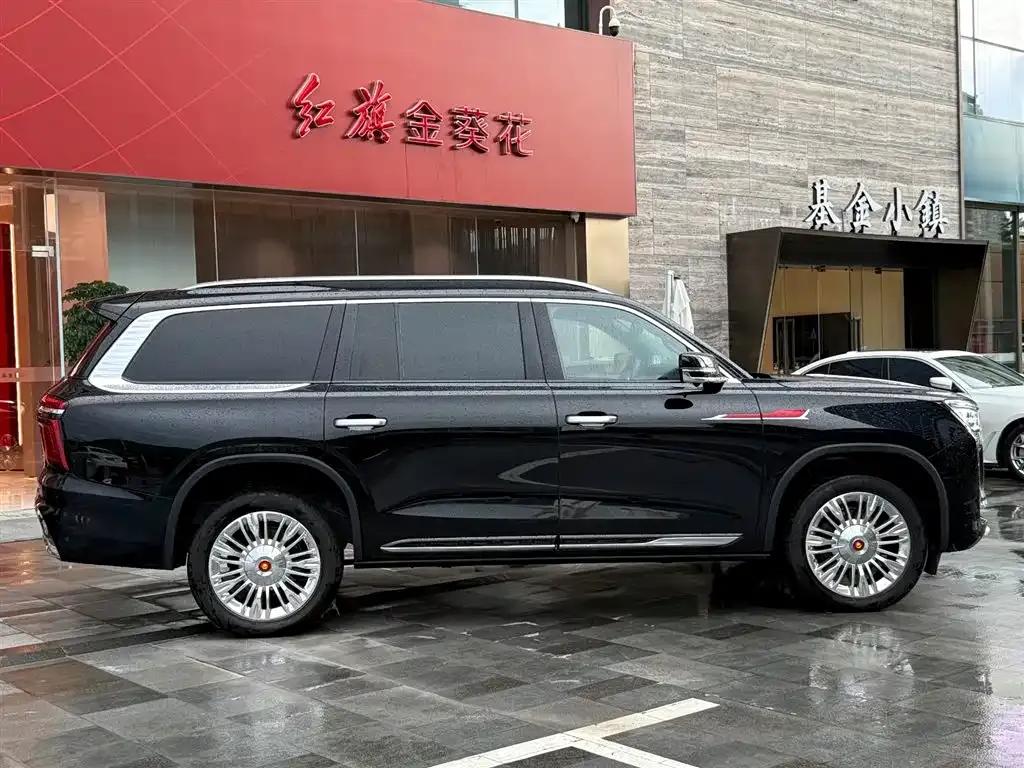 Hongqi Golden Sunflower National Glory 2022 4.0T Premium Flagship Edition 4-seater — миниатюра 5