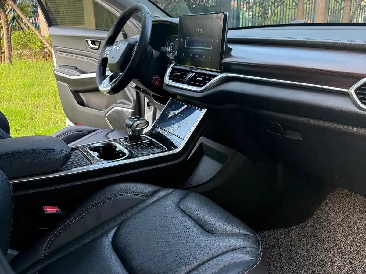 Hongqi E-HS3 2019 Intelligent Flagship Two-Wheel Drive Edition — миниатюра 14