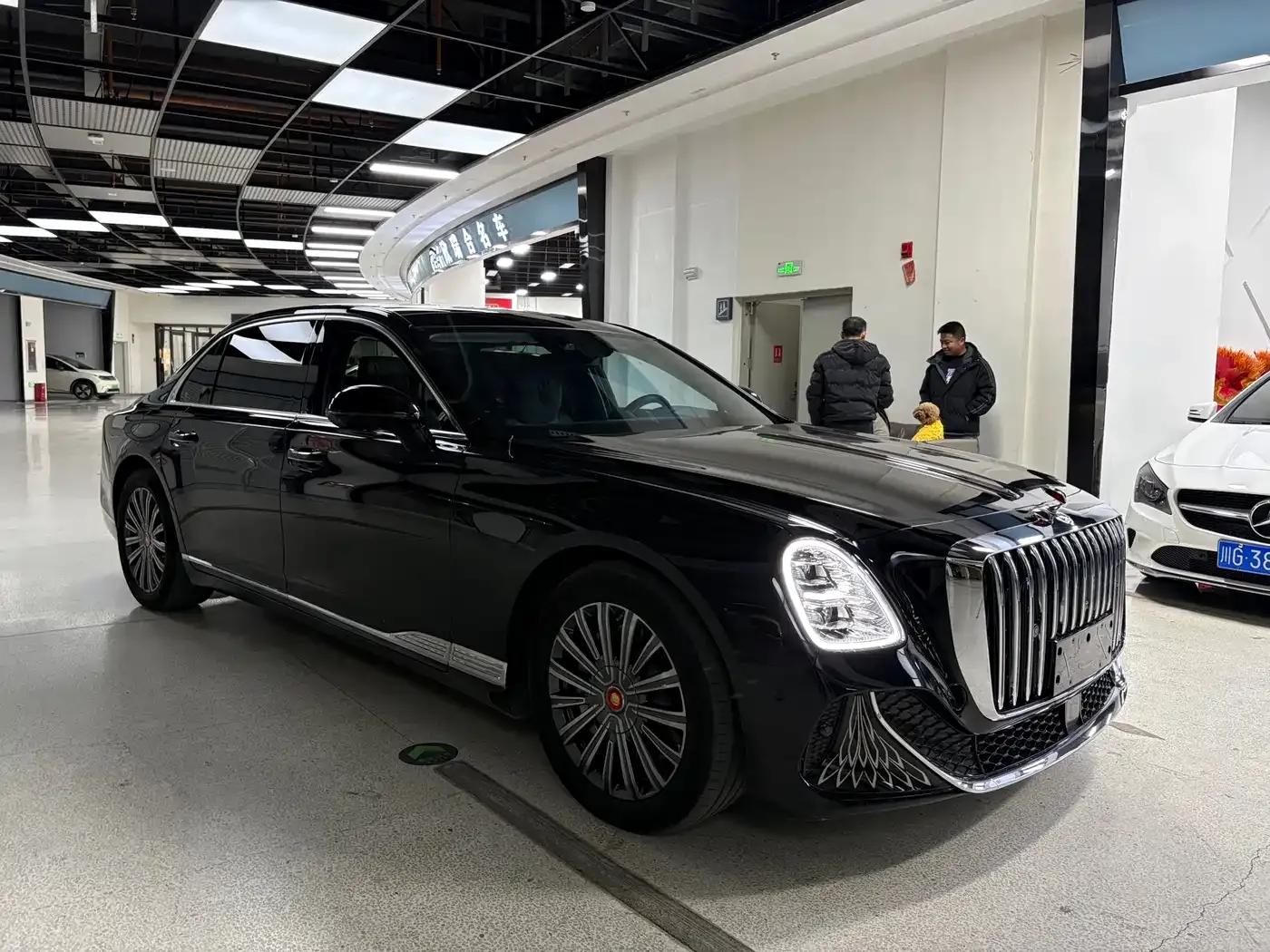 Hongqi Golden Sunflower Elegant 2024 Model 3.0T V6 — миниатюра 3
