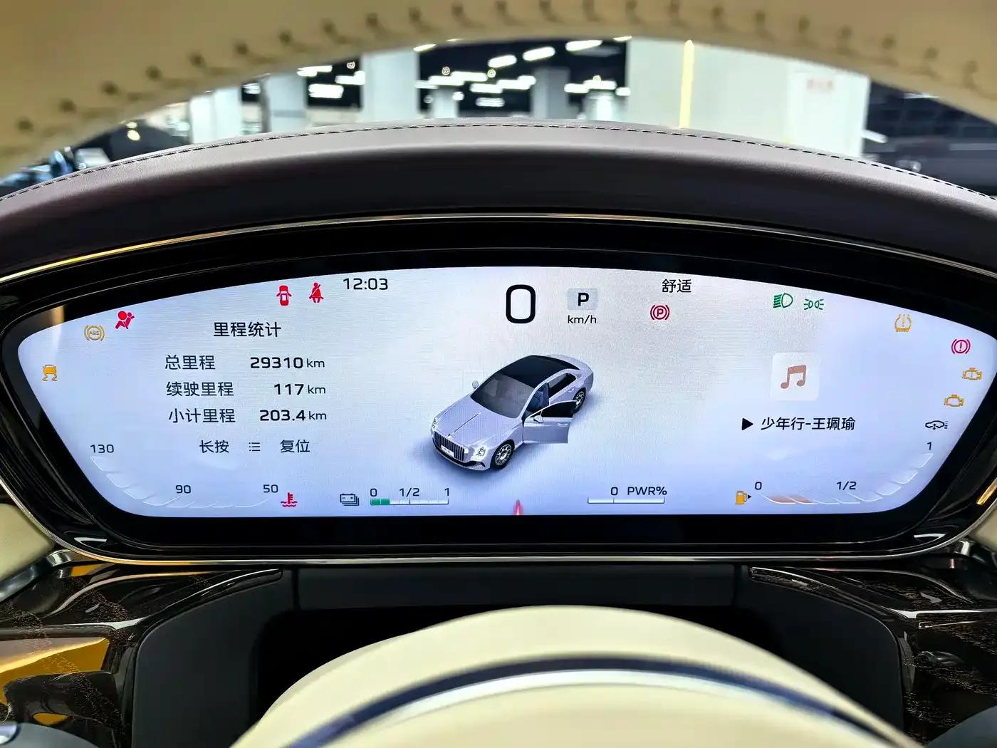 Hongqi Golden Sunflower Elegant 2024 Model 4.0T V8 — миниатюра 11