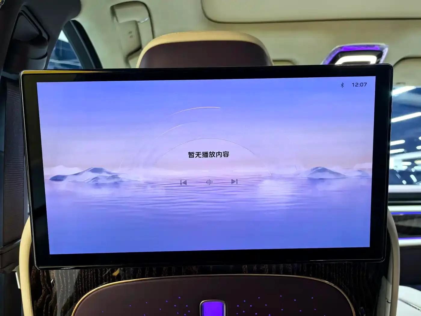 Hongqi Golden Sunflower Elegant 2024 Model 4.0T V8 — миниатюра 21