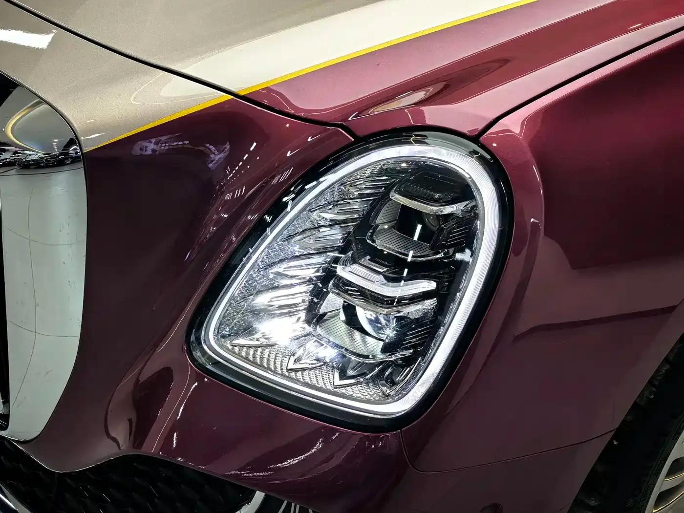 Hongqi Golden Sunflower Elegant 2024 Model 4.0T V8 — миниатюра 25
