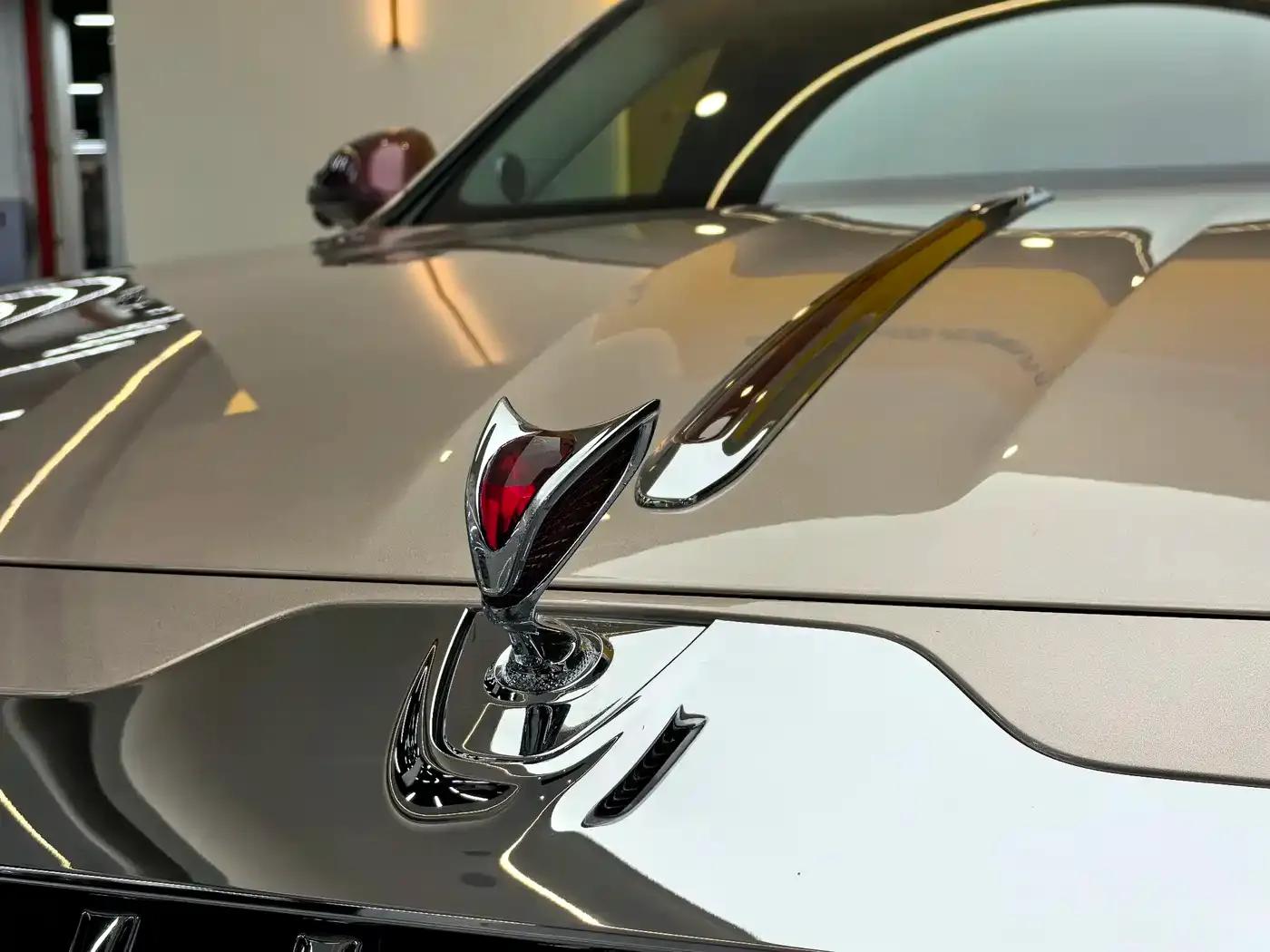 Hongqi Golden Sunflower Elegant 2024 Model 4.0T V8 — миниатюра 26