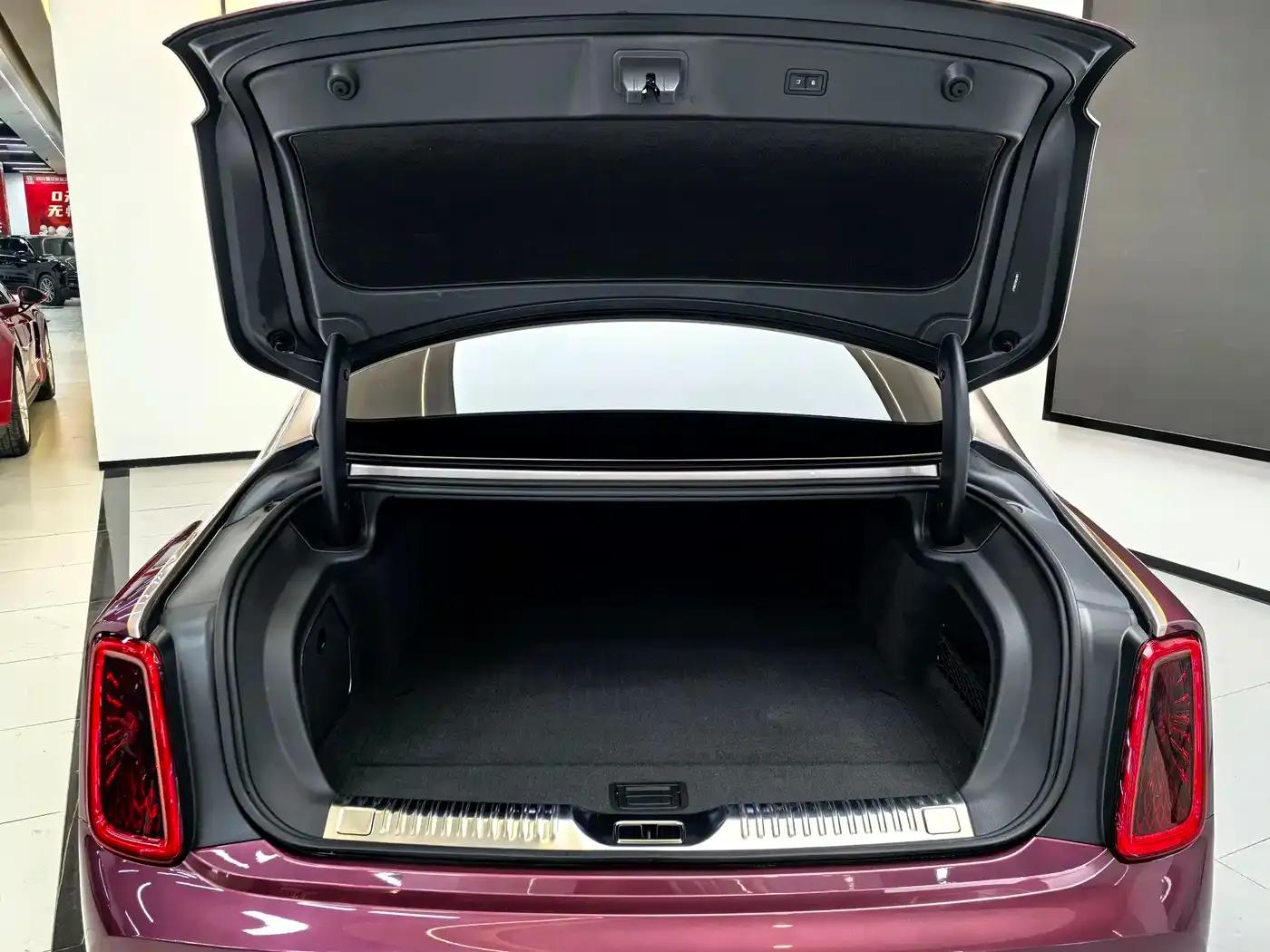 Hongqi Golden Sunflower Elegant 2024 Model 4.0T V8 — миниатюра 33
