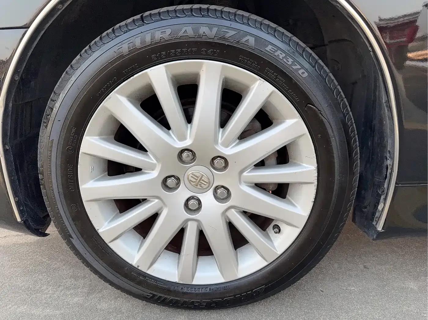Hongqi Shengshi 2009 4.3L Elite Edition — миниатюра 15