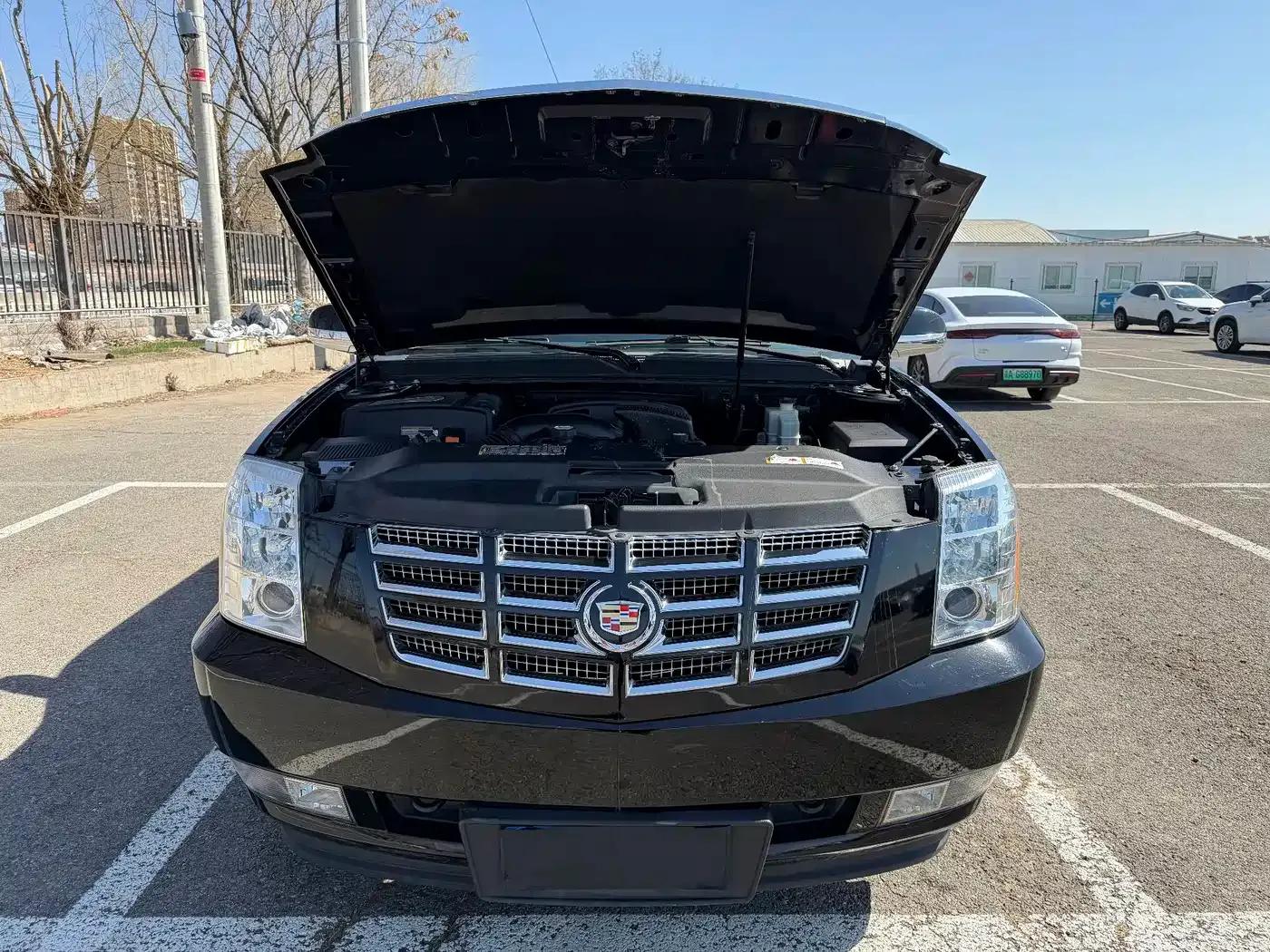 2010 Cadillac Escalade 6.0 Hybrid — миниатюра 9