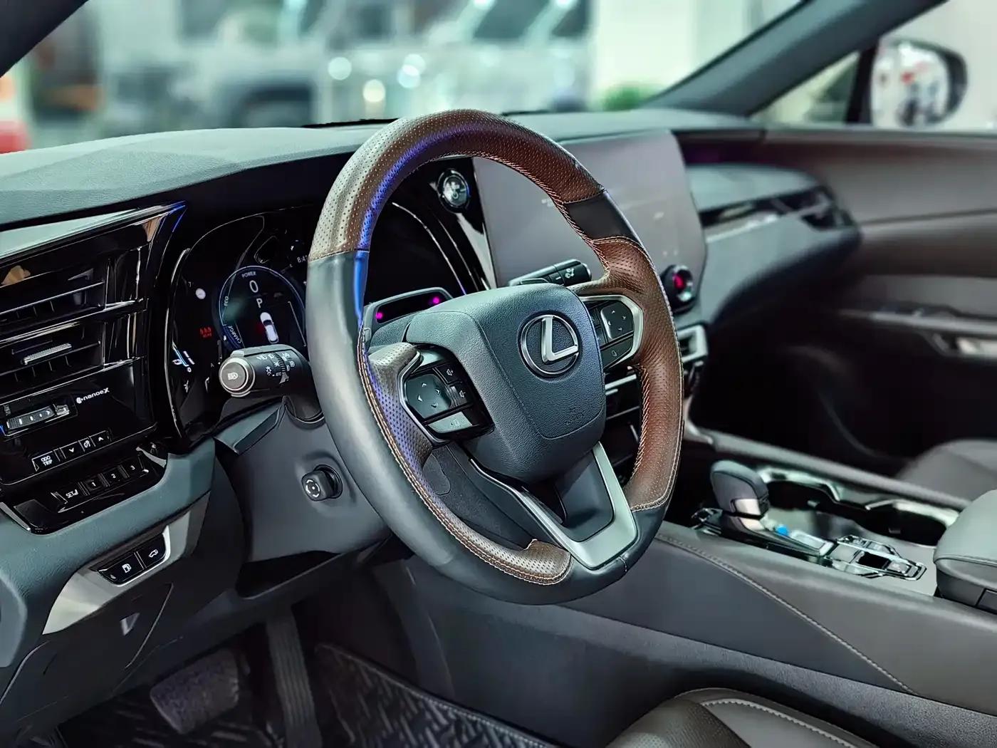 Lexus RX Hybrid 2023 450h+ AWD Enjoy Edition — миниатюра 15