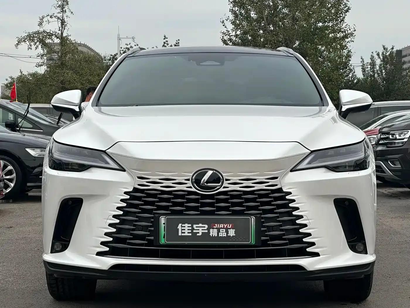 Lexus RX Hybrid 2023 450h+ AWD Enjoy Edition — миниатюра 2