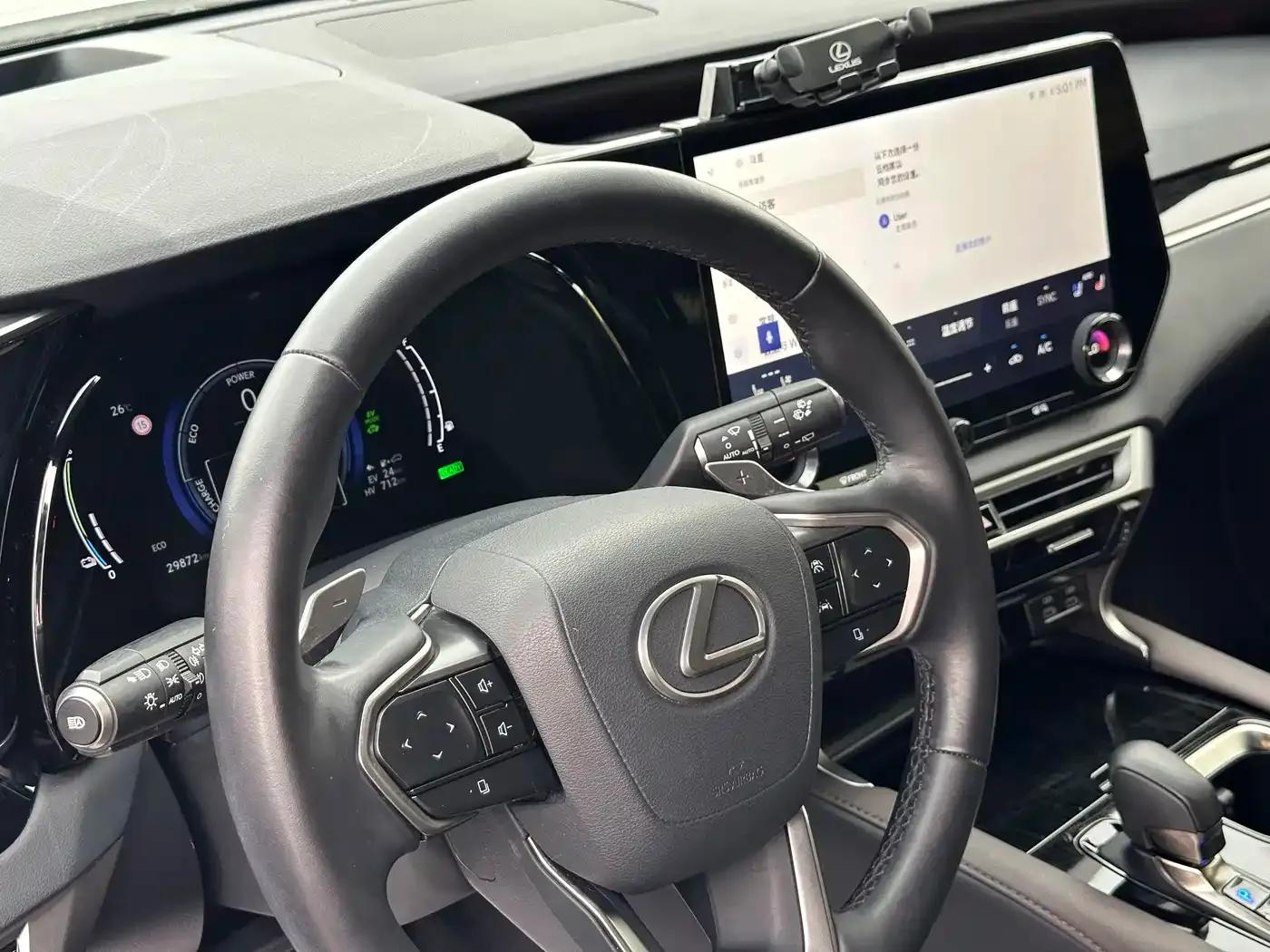 Lexus RX Hybrid 2023 450h+ AWD Enjoy Edition — миниатюра 12