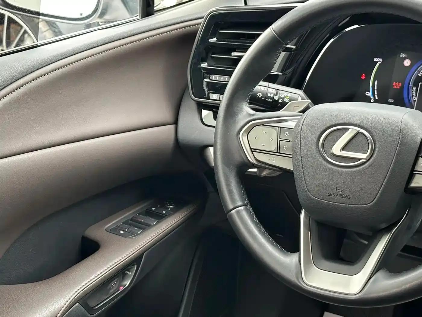 Lexus RX Hybrid 2023 450h+ AWD Enjoy Edition — миниатюра 14